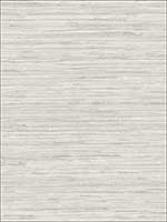 Grasscloth Wallpaper TX34800 by Patton Norwall Wallpaper for sale at Wallpapers To Go