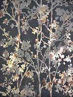 Shimmering Foliage Black Multi Wallpaper NW3580 by Antonina Vella Wallpaper for sale at Wallpapers To Go
