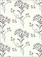 Wildflower Black on White Wallpaper ME1515 by York Wallpaper for sale at Wallpapers To Go