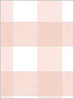 Selah Light Pink Gingham Wallpaper 311512534 by Chesapeake Wallpaper for sale at Wallpapers To Go