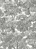 Spinney Black Toile Wallpaper 311512542 by Chesapeake Wallpaper for sale at Wallpapers To Go