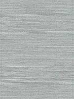 Grasscloth Light Blue Light Grey Wallpaper W345411 by Kravet Wallpaper for sale at Wallpapers To Go