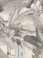 Polynesian Leaves Beige Black Wallpaper MH36538 by Patton Norwall Wallpaper for sale at Wallpapers To Go