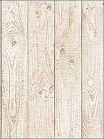Barn Board Beige Wallpaper CK36616 by Patton Norwall Wallpaper for sale at Wallpapers To Go