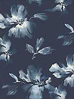 Midnight Blooms Navy blue Wallpaper SO2470 by Candice Olson Wallpaper for sale at Wallpapers To Go