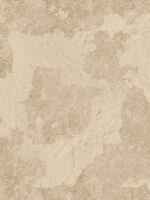 Distressed Plaster Fleur De Lis Wallpaper G45379 by Galerie Wallpaper for sale at Wallpapers To Go
