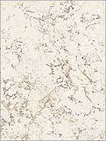 Minimal Marble Cream Light Brown Metallic Gold Wallpaper FH37522 by Patton Norwall Wallpaper for sale at Wallpapers To Go