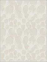 Feathers Cream Wallpaper Y6230102 by Antonina Vella Wallpaper for sale at Wallpapers To Go