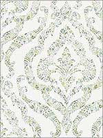 Featherton Light Green Floral Damask Wallpaper 290125404 by A Street Prints Wallpaper for sale at Wallpapers To Go