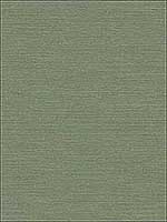 Coastal Hemp Spruce Green Wallpaper BV30404 by Seabrook Wallpaper for sale at Wallpapers To Go