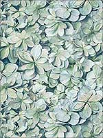 Hydrangea Green Blue Wallpaper RMK11192WP by York Wallpaper for sale at Wallpapers To Go