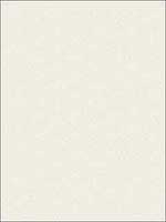 Soft Plain Cream Wallpaper RM91505 by Casa Mia Wallpaper for sale at Wallpapers To Go