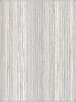 Faux Texture Grey Soft Grey Wallpaper RM50403 by Casa Mia Wallpaper for sale at Wallpapers To Go