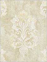 Neoclassic Damask White Cream Wallpaper RM41205 by Casa Mia Wallpaper for sale at Wallpapers To Go