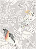 Paradise Island Birds Daydream Gray Ivory Wallpaper RY30100 by Seabrook Wallpaper for sale at Wallpapers To Go