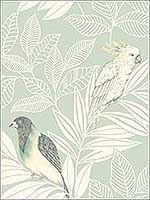 Paradise Island Birds Mint Ivory Wallpaper RY30104 by Seabrook Wallpaper for sale at Wallpapers To Go