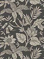 Rainforest Leaves Brushed Ebony Stone Wallpaper RY30200 by Seabrook Wallpaper for sale at Wallpapers To Go