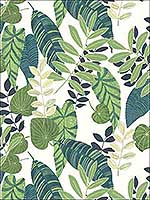 Tropicana Leaves Viridian Dill Wallpaper RY30904 by Seabrook Wallpaper for sale at Wallpapers To Go