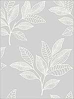 Paradise Leaves Daydream Gray Wallpaper RY30800 by Seabrook Wallpaper for sale at Wallpapers To Go