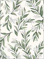 Olive Branch Olive Grove Peel and Stick Wallpaper PSW1001RL by Magnolia Home Wallpaper by Joanna Gaines for sale at Wallpapers To Go