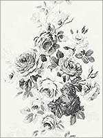 Tea Rose White Black Peel and Stick Wallpaper PSW1157RL by Magnolia Home Wallpaper by Joanna Gaines for sale at Wallpapers To Go