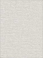 Vivanta Light Grey Texture Wallpaper 294960400 by A Street Prints Wallpaper for sale at Wallpapers To Go