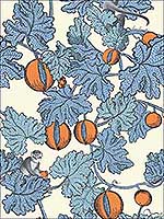 Frutto Proibito Cerulean Orange Wallpaper 1141003 by Cole and Son Wallpaper for sale at Wallpapers To Go