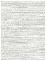 Grasscloth Silver Wallpaper SB37920 by Patton Norwall Wallpaper for sale at Wallpapers To Go