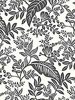 Canopy Black White Wallpaper RI5136 by Rifle Paper Co Wallpaper for sale at Wallpapers To Go
