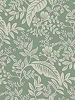 Canopy Sage Wallpaper RI5140 by Rifle Paper Co Wallpaper for sale at Wallpapers To Go