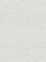 Agave Grey Imitation Grasscloth Wallpaper 296924278 by A Street Prints Wallpaper for sale at Wallpapers To Go