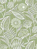 Alma Green Tropical Floral Wallpaper 296987530 by A Street Prints Wallpaper for sale at Wallpapers To Go
