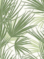Palmetto Green Wallpaper SS2540 by York Wallpaper for sale at Wallpapers To Go