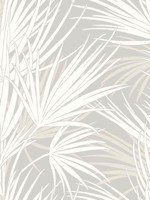 Palmetto Gray Wallpaper SS2541 by York Wallpaper for sale at Wallpapers To Go