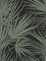 Palmetto Black Green Wallpaper SS2542 by York Wallpaper for sale at Wallpapers To Go