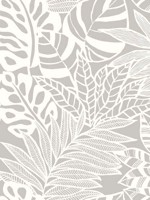 Jungle Leaves Gray Wallpaper SS2574 by York Wallpaper for sale at Wallpapers To Go