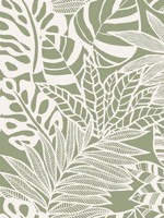 Jungle Leaves Green Wallpaper SS2577 by York Wallpaper for sale at Wallpapers To Go