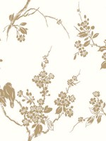 Imperial Blossoms Branch Metallic Gold White Wallpaper SS2590 by York Wallpaper for sale at Wallpapers To Go