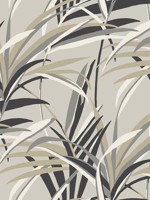 Tropical Paradise Taupe Wallpaper TC2604 by York Wallpaper for sale at Wallpapers To Go