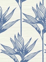 Bird Of Paradise Blue Wallpaper TC2671 by York Wallpaper for sale at Wallpapers To Go