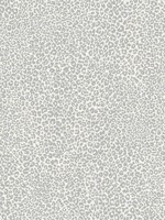 Leopard King Gray Wallpaper TC2683 by York Wallpaper for sale at Wallpapers To Go