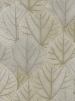 Leaf Concerto Taupe Wallpaper OS4243 by Candice Olson Wallpaper for sale at Wallpapers To Go
