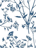 Southport Indigo Delicate Branches Wallpaper 292780702 by A Street Prints Wallpaper for sale at Wallpapers To Go