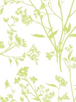 Southport Chartreuse Delicate Branches Wallpaper 292780704 by A Street Prints Wallpaper for sale at Wallpapers To Go