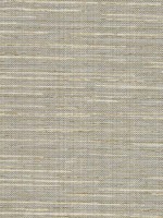 Bay Ridge Beige Faux Grasscloth Wallpaper 29458018 by Warner Wallpaper for sale at Wallpapers To Go