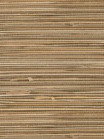 Seiju Wheat Grasscloth Wallpaper 40180026 by Advantage Wallpaper for sale at Wallpapers To Go