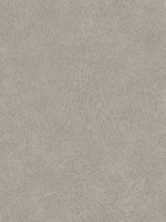 Latigo Dove Leather Wallpaper 300512 by Eijffinger Wallpaper for sale at Wallpapers To Go
