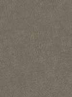 Latigo Olive Leather Wallpaper 300514 by Eijffinger Wallpaper for sale at Wallpapers To Go