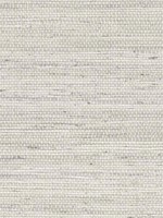 Luxe Weave Lunar Rock Wallpaper LN20200 by NextWall Wallpaper for sale at Wallpapers To Go
