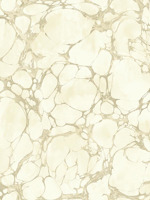 Marble Wallpaper AN61206 by Pelican Prints Wallpaper for sale at Wallpapers To Go